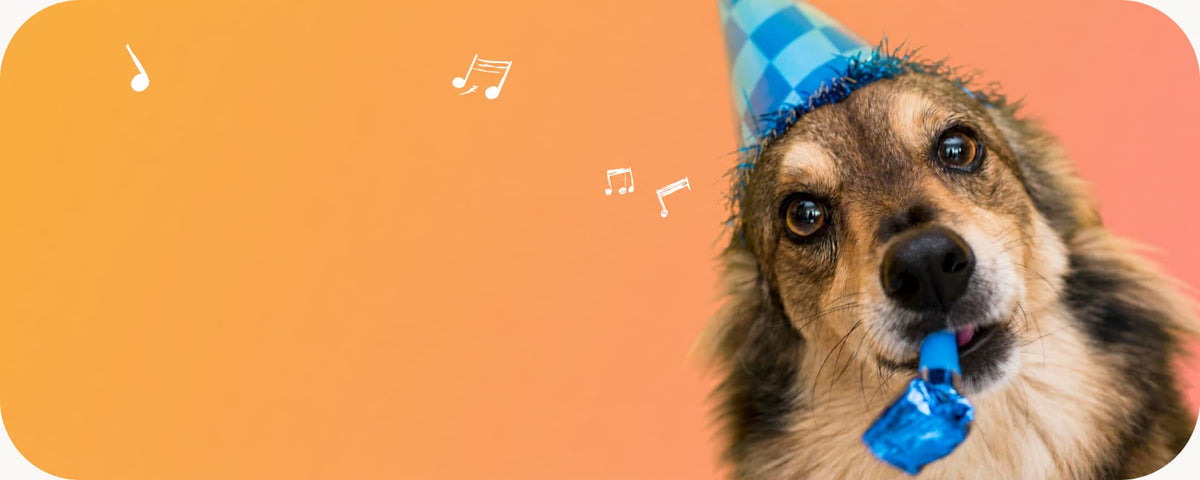 A close-up of a dog wearing a blue party hat and blowing a blue party blower, set against a warm orange-to-pink gradient background with floating white music note icons.