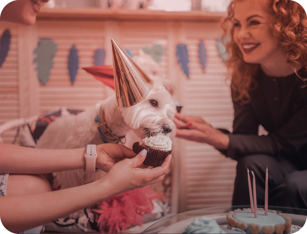 Pet Celebration Songs
